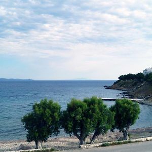 Triple Room Sea View